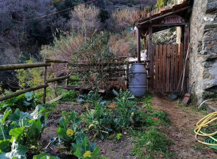 La Casa Di Mo Vila Albisola Superiore Exterior foto